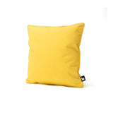 B Cushion