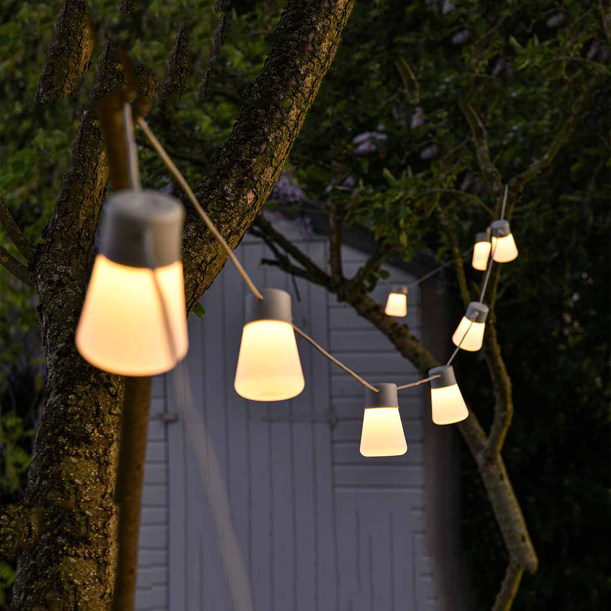 B Bulb Connect