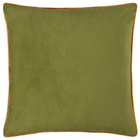 Olive/Ginger