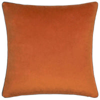 Pumpkin/Mocha